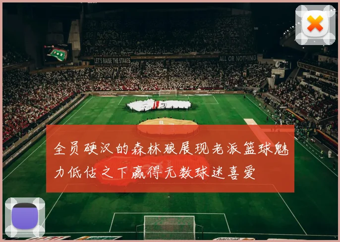 全员硬汉的森林狼展现老派篮球魅力低估之下赢得无数球迷喜爱