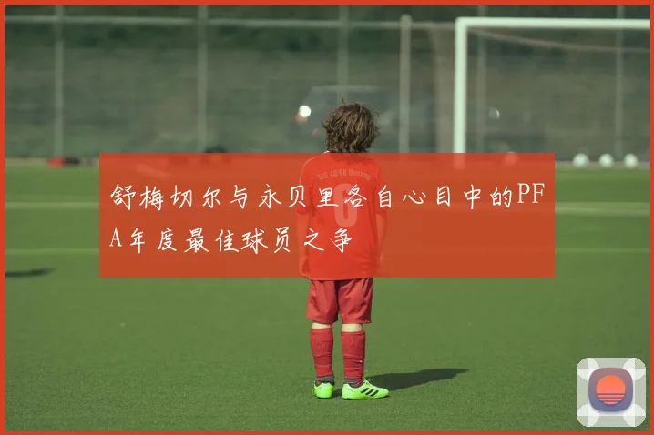 舒梅切尔与永贝里各自心目中的PFA年度最佳球员之争